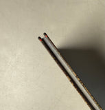 Pathfinder 2nd Edition - Kingmaker Adventure Path Companion Guide