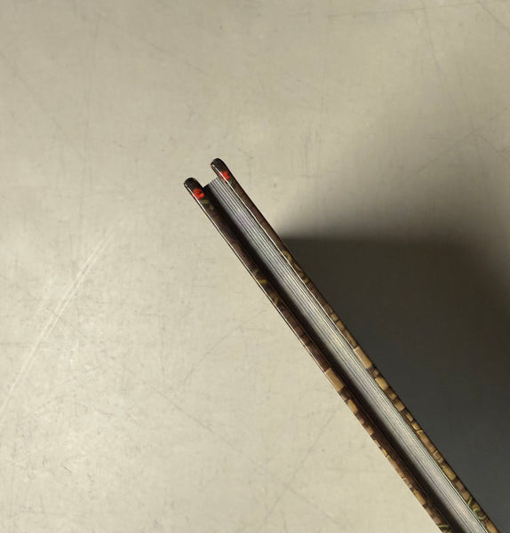 Pathfinder 2nd Edition - Kingmaker Adventure Path Companion Guide